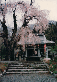 石井信忠の画像