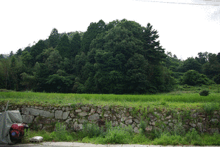 今田経高の画像