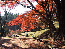 福原資孝の画像