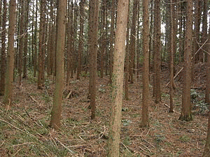 福原資広の画像