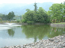 桑山一晴の画像