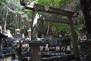 賀島政慶の画像