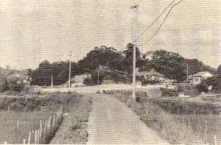 依岡左京進の画像