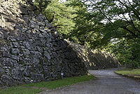 大井光忠の画像