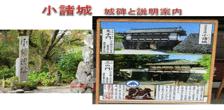 大井行俊の画像