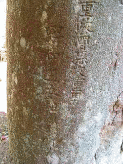 野中重政の画像