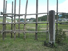 金丸定光の画像