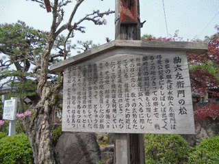 鯰江貞景の画像
