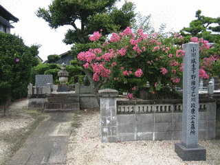 石川政康の画像