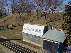 今井信元の画像
