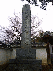 岩手縄美の画像