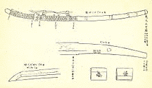 真柄隆基の画像