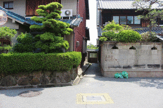布施左京進の画像
