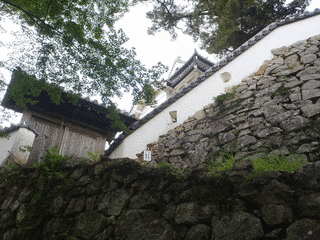 高橋氏高の画像