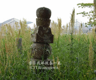 香宗我部貞親の画像