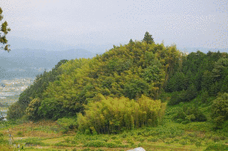 座光寺為時の画像