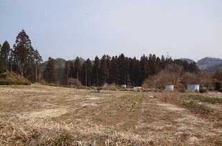 深谷顕衡の画像