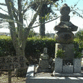 小笠原春義の画像