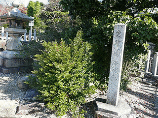 山口教継の画像
