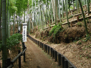 笠原照重の画像