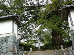 小原継忠の画像