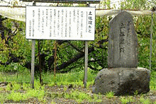 蜷川親世の画像