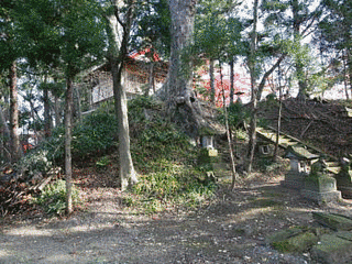須田頼隆の画像