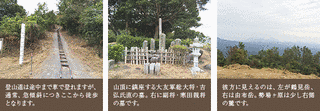 寒田親将の画像