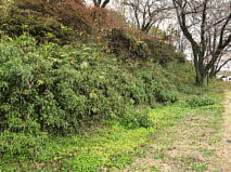 箱田地衆の画像