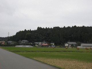 塩谷義尾の画像