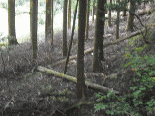 梅戸高実の画像