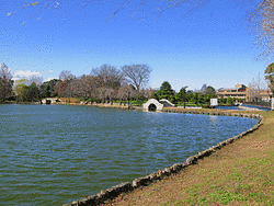 成田泰親の画像