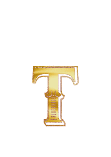 トン語の画像