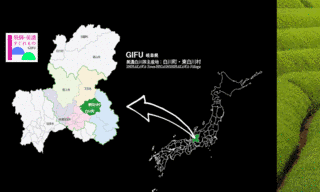 白川茶の画像
