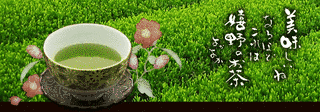 嬉野茶の画像