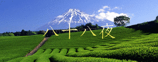 八十八夜の画像