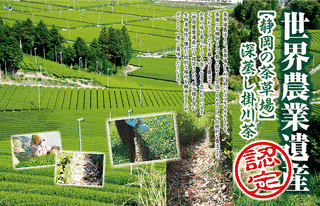 茶草場農法の画像