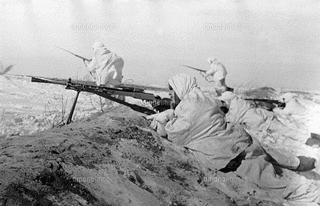 独ソ戦の画像