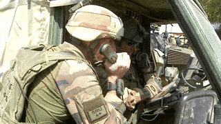 セルヴァル作戦の画像