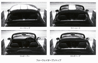 レカ・ゾグの画像