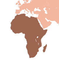 ポール・トゥンギの画像