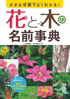 花と木の画像
