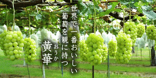 黄華の画像