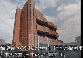 金国泰の画像