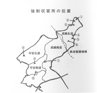 朴容国の画像