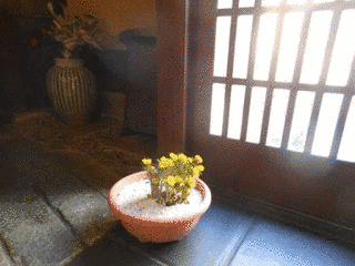 林春秋の画像