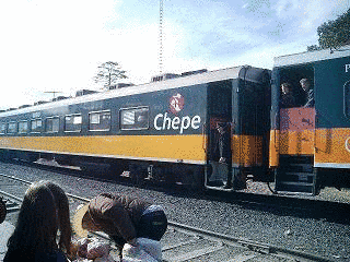 チワワ太平洋鉄道の画像