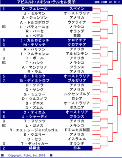 アビエルト・メキシコ・テルセルの画像