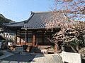 明円の画像