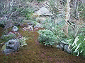延朗の画像